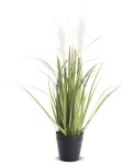  Roślina ozdobna dekoracyjna trawa 54cm 126948 