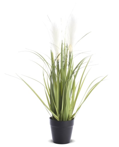 Roślina Dekoracyjna 54x30x30 126948