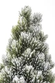 dc02ab9d5917458524fcd4f2d61bd196