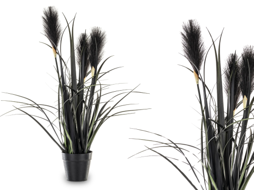 Projekt bez nazwy.png