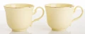 Filiżanka filiżanki porcelana beżowo złote kpl. 2 szt z podstawką  90 m 185553