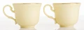 Filiżanka filiżanki porcelana beżowo złote kpl. 2 szt z podstawką  90 m 185553
