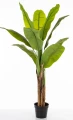 Drzewko Dekoracyjne Bananowiec 125x80x80 176114