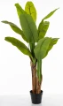 Drzewko Dekoracyjne Bananowiec 125x80x80 176114